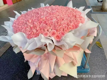 520告白文案(抒情)